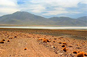 Laguna y Cerro Vilama, Jujuy, Argentina - panoramio