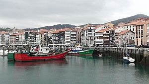 Lekeitio harbour.jpg