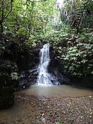 Mangarata Stream waterfall, Hakarimata