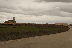 View of Melgar de Fernamental, 2010