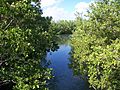 Miami FL Oleta River SP08