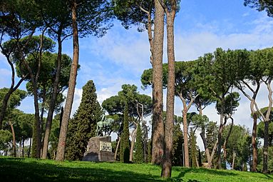 Pines - Villa Borghese - Rome, Italy - DSC04555