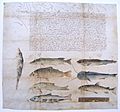 1506-02-24 Maximilian fishing order