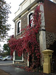Corner Wine Shop in North Adelaide