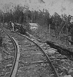 Dun Mountain Railway, Copy Collection, The Nelson Provincial Museum, C2634.jpg
