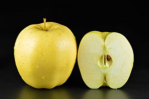 Golden Delicious apples.jpg