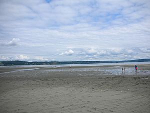 Low tide at double bluff beach.jpg