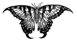 Papilio machaon Topsell 1658