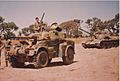 Rhodesian Eland and T-55