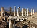 Ancient city of Laodicea, 2019 14