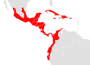 Artibeus jamaicensis map.png