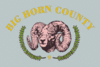 Flag of Big Horn County