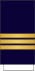 France-Airforce-OF-2 Sleeve.svg