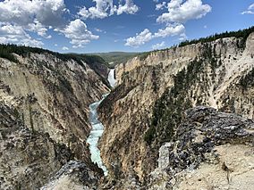 Grand Canyon of Yellowstone and Lower falls, Wyoming, United States.jpg