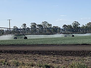 Irrigated farming, Rifle Range, 2019 10 16 27 339000.jpeg