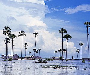 A flooded field in Kampong Speu