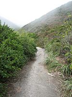 Pedro Mtn Road trail