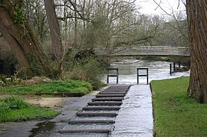 The Rollerway - geograph.org.uk - 771489