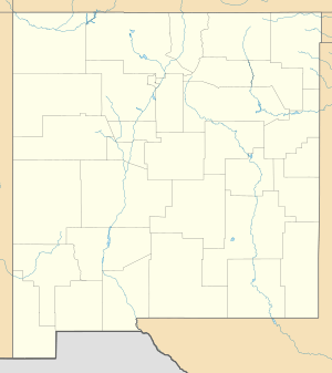 Rio Salado (New Mexico) is located in New Mexico