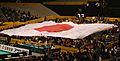 Volleyball WC 2006 Japan flag
