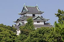 Wakayama castle01s3500