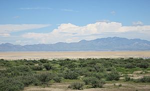 Willcox Playa From Cochise Arizona 2014.JPG
