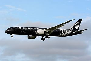 Air New Zealand, Boeing 787-9 ZK-NZE 'All Blacks' NRT (27091961041)