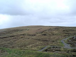 Ceide Fields Neolithic Site