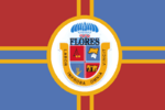 Flag of Flores Department