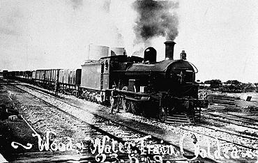 G22 + goods train, Ooldea, 1919.jpg