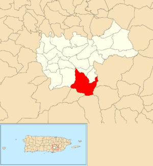 Location of Jájome Alto within the municipality of Cayey shown in red