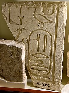 Limestone slab showing the cartouche of Senusret II and name and image of goddess Nekhbet. From Mastaba 4, north side of Senusret II Pyramid at Lahun, Egypt. The Petrie Museum of Egyptian Archaeology, London