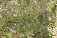 A close-up, showing moss-covered stones lining a curving pit