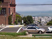 Northern view from Alta Plaza Park. The Marina District and San Francisco Bay can be seen below.