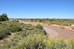 Puerco River in Petrified Forest NP.jpg