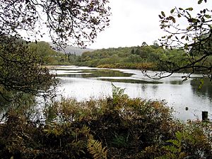River Brathay near Clappersgate - geograph.org.uk - 70102