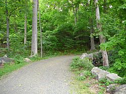 Typical Rockies Trail
