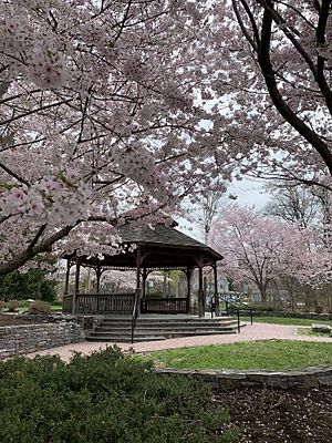 Valley Cottage Cherry Blossoms.jpg