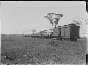 Wheat train Wubin 1922
