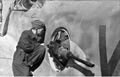 Bundesarchiv Bild 101I-445-1861-19, Nordafrika, Arbeit an Bordwaffen einer Me 210-410