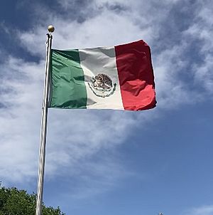 Flag of Mexico on pole