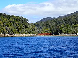 GSS Stella Northport Chalky Inlet Aotearoa New Zealand.jpg