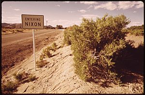NIXON-A SMALL PAIUTE INDIAN SETTLEMENT NEAR THE SOUTH END OF PYRAMID LAKE, ON THE PYRAMID LAKE INDIAN RESERVATION - NARA - 553667