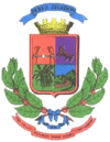 Coat of arms of Pérez Zeledón