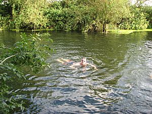 River Cam Swimming 4 Aug 08