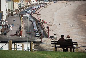 Seaton, Seated viewpoint overlooking beach and seafront - geograph.org.uk - 1720693.jpg