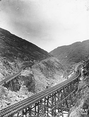 Switchback on the White Pass and Yukon Railroad, Alaska, ca 1899 (HEGG 490)