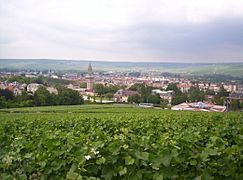 View of Épernay from Mont Bernon