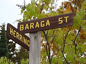 Baraga Street