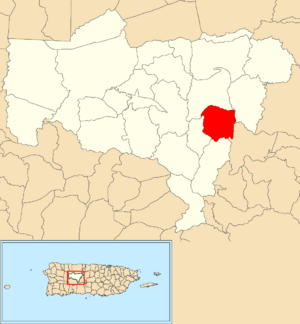 Location of Caonillas Arriba within the municipality of Utuado shown in red